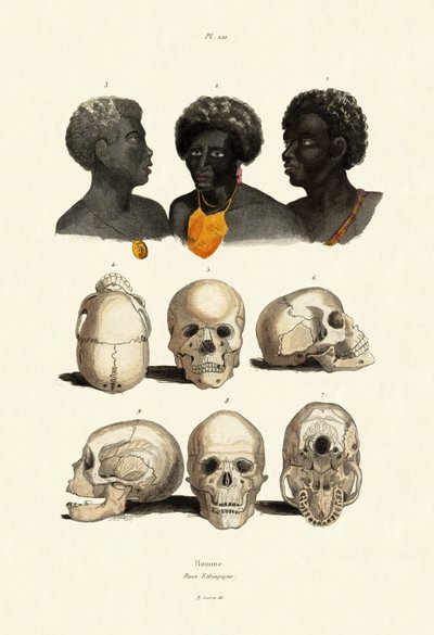 Etiopczycy, 1833-39 autorstwa French School